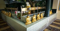 IMG_9764