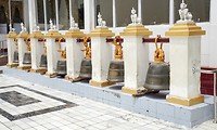 IMG_9768