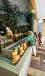 IMG_9761