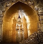 IMG_9742