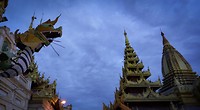 IMG_9991