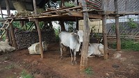 IMG_0279