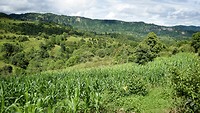 IMG_0270
