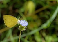 IMG_0272