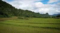 IMG_0275