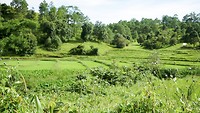 IMG_0271
