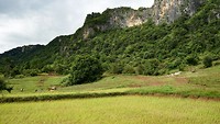 IMG_0274