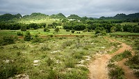 IMG_0281