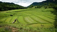 IMG_0273