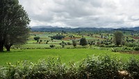 IMG_0266
