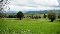 IMG_0267