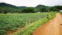 IMG_0262
