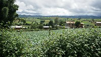 IMG_0265