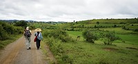 IMG_0263