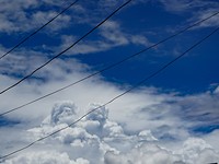 IMG_0587