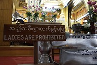 IMG_0463
