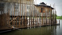 IMG_0435