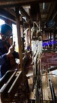 IMG_0441