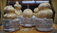 IMG_0461