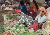 IMG_0360
