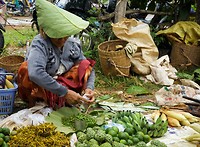 IMG_0362