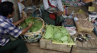 IMG_0365