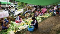 IMG_0358