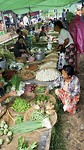 IMG_0353