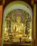 IMG_0812