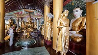 IMG_0754