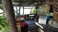 IMG_0911