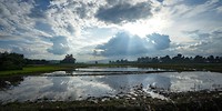 IMG_9254