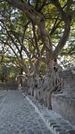 20190102_174228
