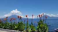 20190801_122150