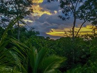 IMG_6394