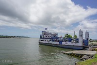 PD_08018
