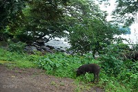 DSC07035