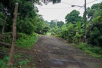 DSC07034