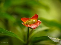 DSC07149