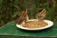 DSC07200