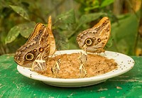 DSC07200