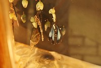 DSC07189