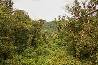 DSC07219