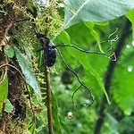 IMG_20190815_152619_275