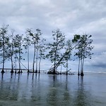 IMG_20190819_095316_200