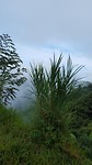 20190817_080810