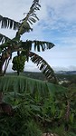 20190817_075908