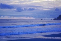 561DE476-527E-48F0-9906-F68B2203B0C8