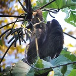 IMG_20190818_162412_012