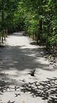 20190818_125335